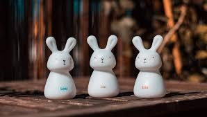 Olala Rabbit Trio éjszakai fény